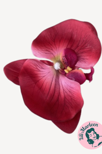 Stor Orkide hårclips, rød- den sødeste orkide til håret